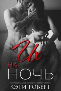 Их на ночь - Кэти Роберт
