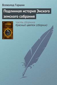 Подлинная история Энского земского собрания - Всеволод Михайлович Гаршин