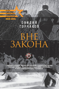 Вне закона - Овидий Александрович Горчаков