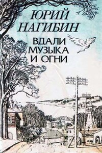 В гостях не дома - Юрий Маркович Нагибин