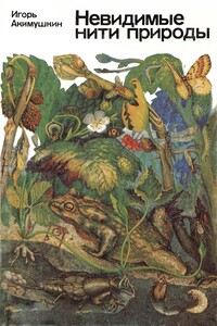 Невидимые нити природы - Игорь Иванович Акимушкин
