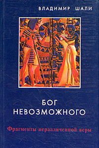 Бог невозможного - Владимир Шали