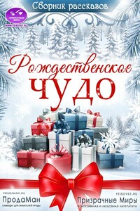 Сборник рассказов «Рождественское Чудо» 2021 - Яна Черненькая, Карина Сергеевна Пьянкова