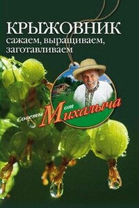 Крыжовник. Сажаем, выращиваем, заготавливаем - Николай Михайлович Звонарев