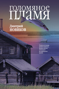 Голомяное пламя - Дмитрий Геннадьевич Новиков