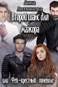 Второй шанс для мажора или Фей-крестный поневоле - Анна и Сергей Литвиновы