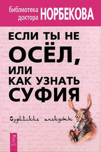 Если ты не осёл, или Как узнать суфия. Суфийские анекдоты - Мирзакарим Санакулович Норбеков