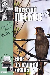 Том 8. Мир за нашим окном - Василий Михайлович Песков