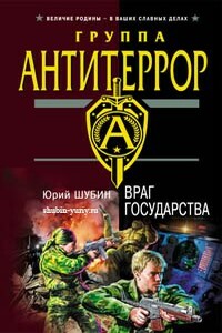 Враг государства - Юрий Дмитриевич Шубин