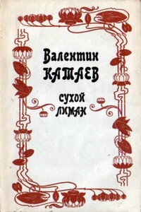 Обоюдный старичок - Валентин Петрович Катаев