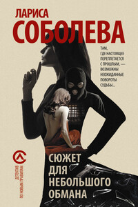 Сюжет для небольшого обмана - Лариса Павловна Соболева