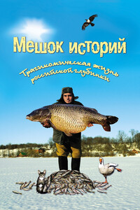 Мешок историй (сборник) - Александр Александрович Росков