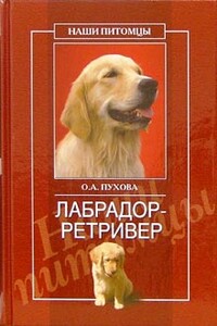Лабрадор ретривер - Олеся Александровна Пухова
