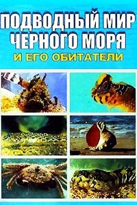 Подводный мир Черного моря - Евгения Павловна Иськив
