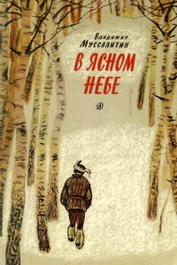 В ясном небе - Владимир Иванович Муссалитин