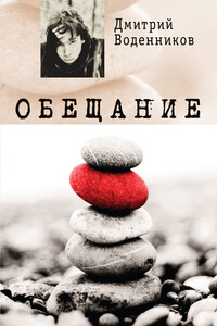 Обещание - Дмитрий Борисович Воденников