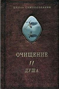 Очищение. Том.2. Душа - Александр Александрович Шевцов