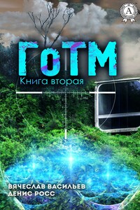 ГоТМ. Книга вторая - Вячеслав Васильевич Васильев, Денис Росс
