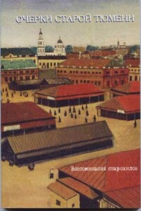 Очерки старой Тюмени - Лев Владимирович Боярский, Николай Степанович Захваткин
