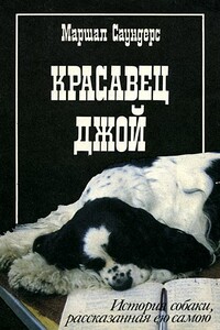 Красавец Джой - Маргарет Маршал Саундерс