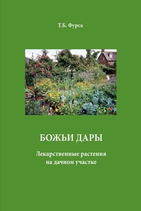 Божьи дары. Лекарственные растения на дачном участке - Татьяна Борисовна Фурса