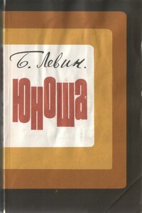 Юноша - Борис Михайлович Левин