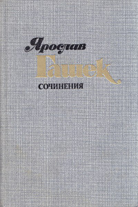 Визит в город Нейбург - Ярослав Гашек