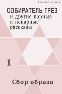 Сбор образа - Сергей Юрьевич Саканский