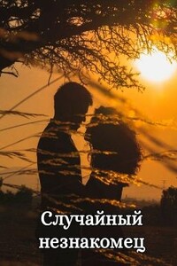 Случайный незнакомец - Виктория Семенова