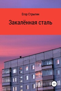 Закалённая сталь - Егор Денисович Стрыгин