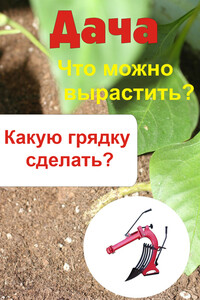 Что можно вырастить? Какую грядку сделать? - автор неизвестный