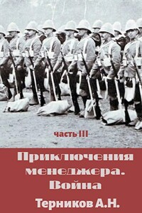 Приключения менеджера. Война - Александр Николаевич Терников