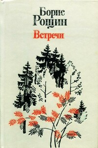 Встречи - Борис Алексеевич Рощин