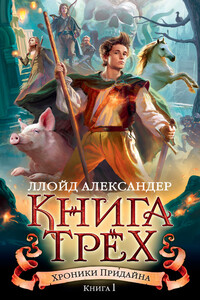 Книга Трех - Ллойд Александер
