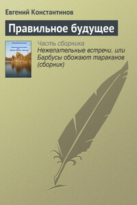 Правильное будущее - Евгений Михайлович Константинов