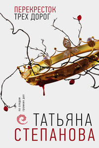 Перекресток трех дорог - Татьяна Юрьевна Степанова