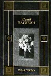 Колокола - Юрий Маркович Нагибин