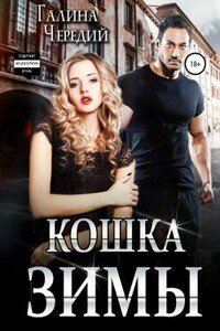 Кошка Зимы - Галина Валентиновна Чередий