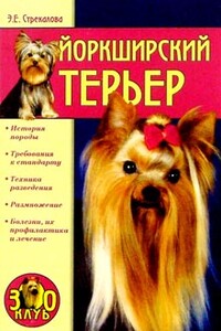 Йоркширский терьер - Эльвира Евгеньевна Стрекалова