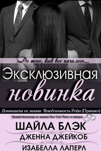Влюбленность Рейн - Шайла Блэк