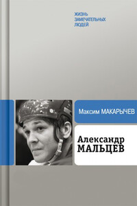 Александр Мальцев - Максим Александрович Макарычев