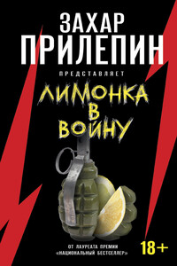 «Лимонка» в войну - Антология