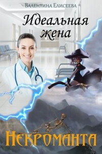Идеальная жена некроманта - Валентина Ильинична Елисеева