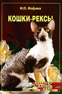 Кошки - рексы - Ирина Олеговна Иофина