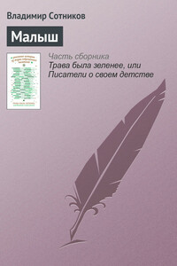 Малыш - Владимир Михайлович Сотников