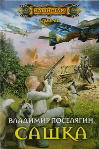 Сашка - Владимир Геннадьевич Поселягин