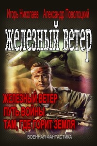 Железный ветер - Александр Борисович Поволоцкий, Игорь Игоревич Николаев