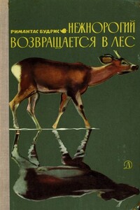 Нежнорогий возвращается в лес - Римантас Будрис