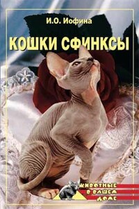 Кошки - Сфинксы - Дарья Владимировна Нестерова