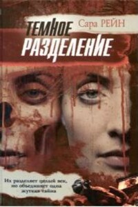 Темное разделение - Сара Рейн